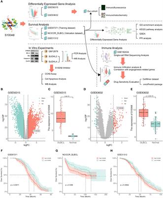 S100A8 is a prognostic signature and associated with immune response in diffuse large B-cell lymphoma